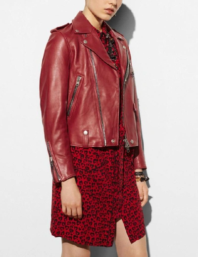 Shop Coach Moto Jacket - Women's In Cardinal