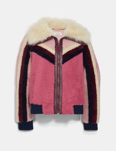Shop Coach Shearling Bomber Jacket In Color<lsn_delimiter>posh Pink