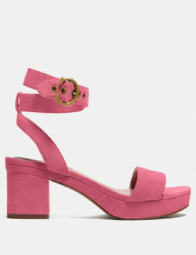 Shop Coach Serena Sandal In Orchid