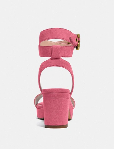 Shop Coach Serena Sandal In Orchid