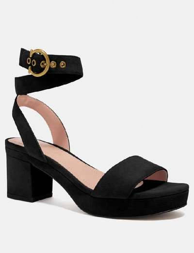 Shop Coach Serena Sandal - Women's In Black