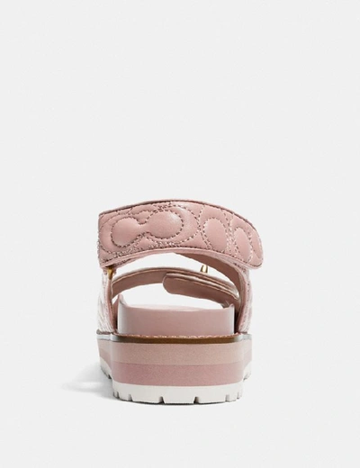 Shop Coach Kacie Sandal In Pale Blush