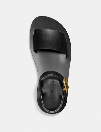 Shop Coach Ankle Strap Sandal In Color<lsn_delimiter>black