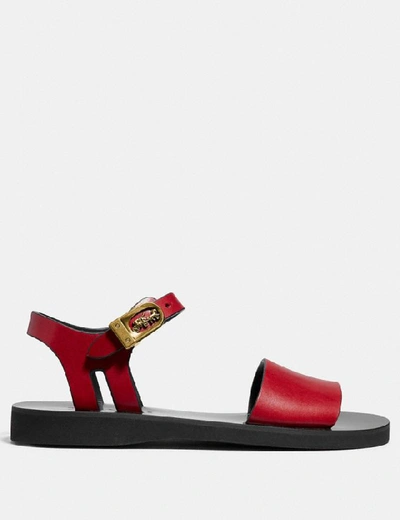 Shop Coach Ankle Strap Sandal In Red.