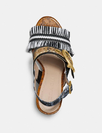 Shop Coach Robin Sandal - Women's In Black Chalk