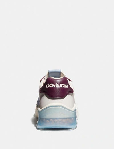 Shop Coach Citysole Court Sneaker - Women's In Chalk/boysenberry