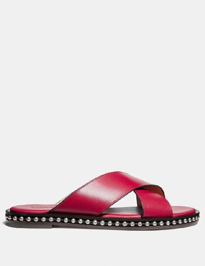 Shop Coach Hailey Slide - Women's In Bright Cherry