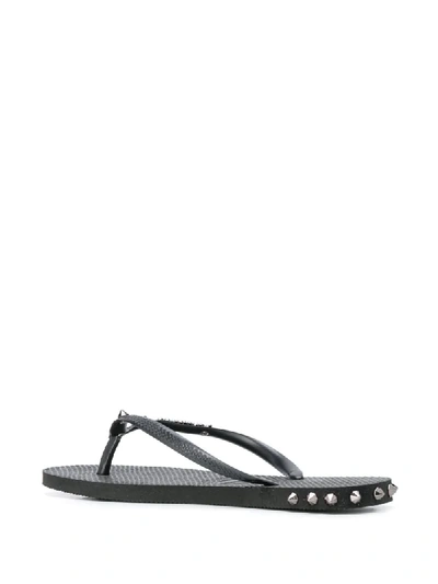 Havaianas Stud Detail Flip flops In Black ModeSens