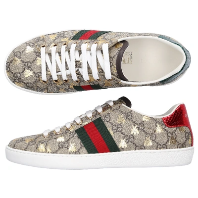 Shop Gucci Low-top Sneakers New Ace In Green