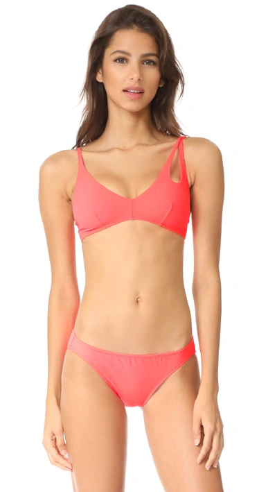 Shop Araks Elias Bikini Top In Fluoro