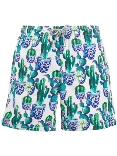 Shop Mc2 Saint Barth Cactus Print Swim Shorts In Blue