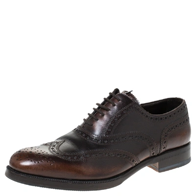 Pre-owned Dsquared2 Brown Brogue Leather Lace Up Oxfords Size 40