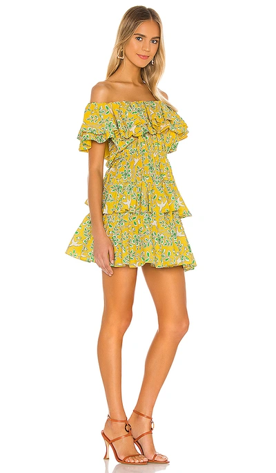 Shop Rhode Dotty Dress In Yellow Eden
