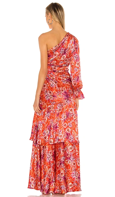 Shop Amur Israella Dress In Flame Rosa Floral