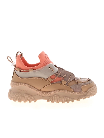 Shop Pinko Cumino Sneakers In Shades Of Pink