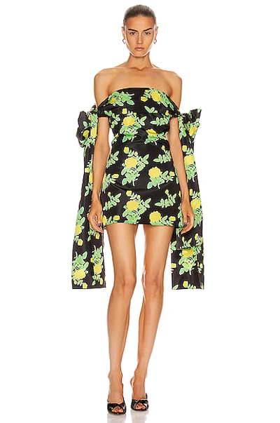 Shop Bernadette Timothy Taffeta Dress In Yellow Painted Rose On Black