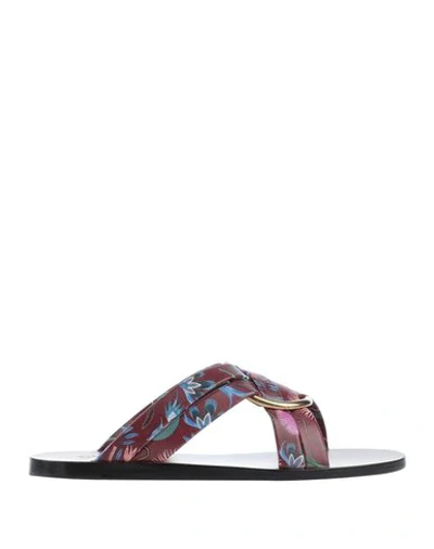 Shop Chloé Sandals In Maroon