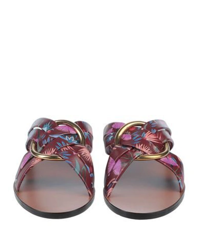 Shop Chloé Sandals In Maroon