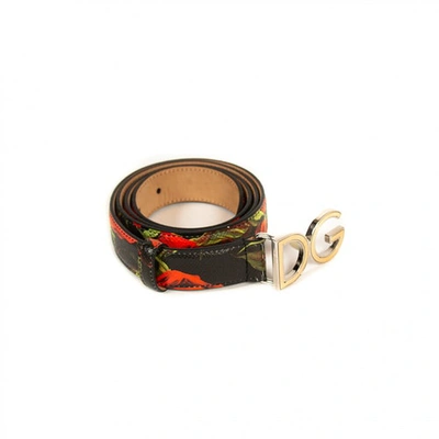 Pre-owned Dolce & Gabbana Leather Belt In Multicolour