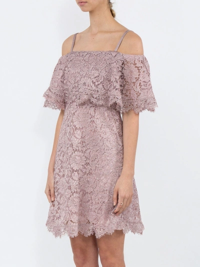 Shop Valentino Cotton-blend Lace Minidress Purple