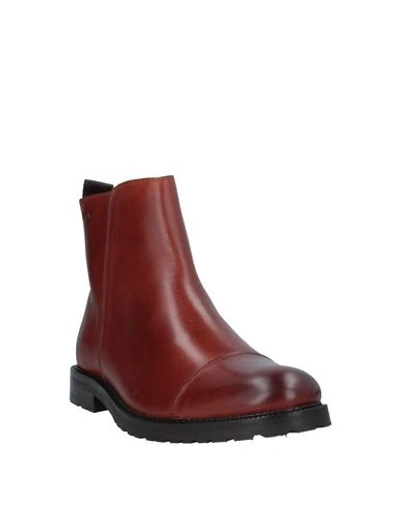 Shop Royal Republiq Ankle Boots In Brown
