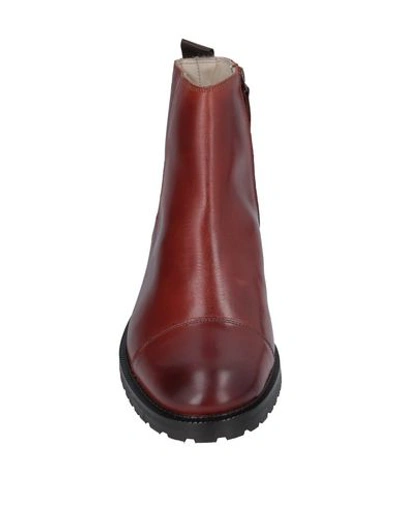 Shop Royal Republiq Ankle Boots In Brown