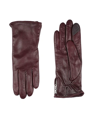 Shop Royal Republiq Gloves In Maroon