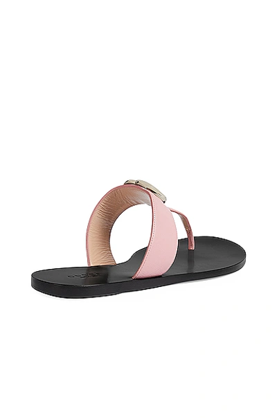 Shop Gucci Marmont Leather Thong Sandals