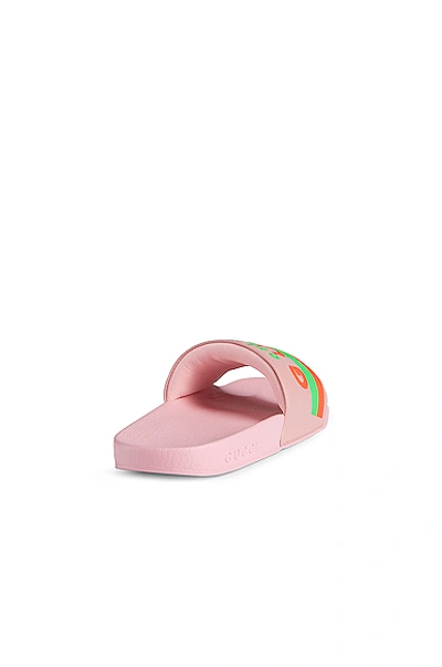 Shop Gucci Pursuit Leather Sandals In Wild Rose