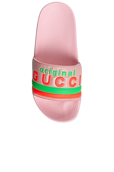 Shop Gucci Pursuit Leather Sandals In Wild Rose