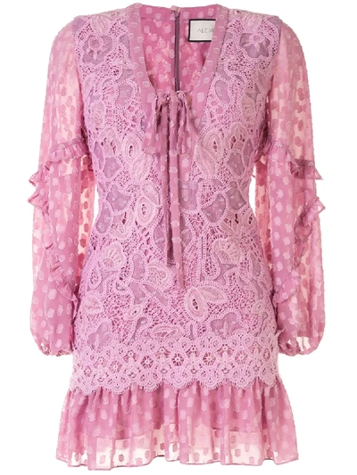 Shop Alexis Malicha Dress In Pink