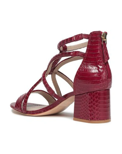 Sandro Sandals In Maroon