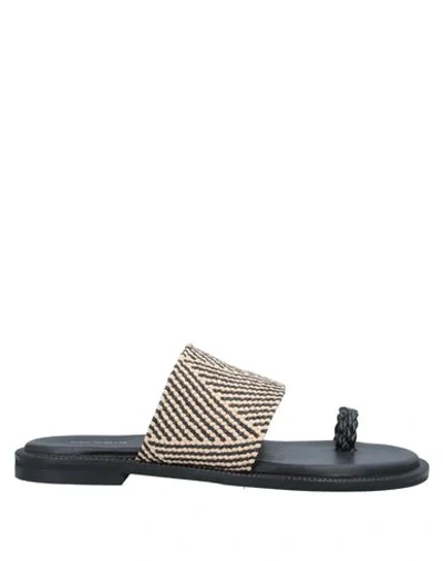 Shop Makris Toe Strap Sandals In Black