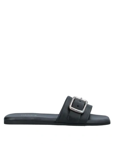 Shop Makris Sandals In Black