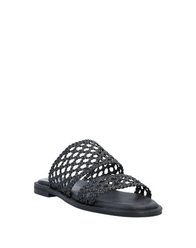 Shop Makris Sandals In Black