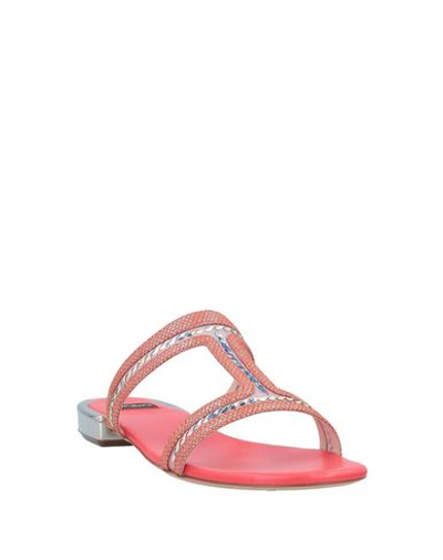 Shop Rodo Sandals In Orange