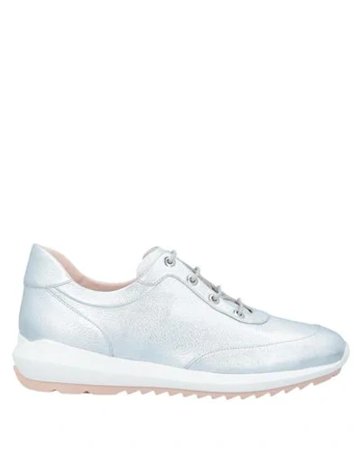 Shop Rodo Woman Sneakers Silver Size 10 Calfskin