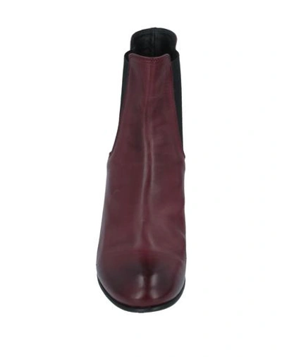 Shop Ernesto Dolani Ankle Boots In Maroon