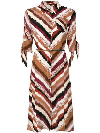 Shop Altuzarra Narcissa Python Print Shirt Dress In Brown