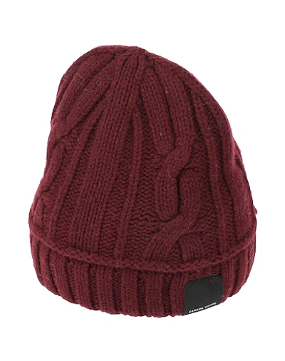 Shop Canada Goose Hat In Maroon