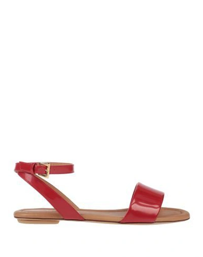 Shop Loriblu Sandals In Red