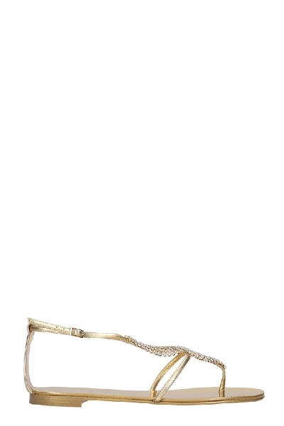 Shop Giuseppe Zanotti Josie Flats In Gold Leather