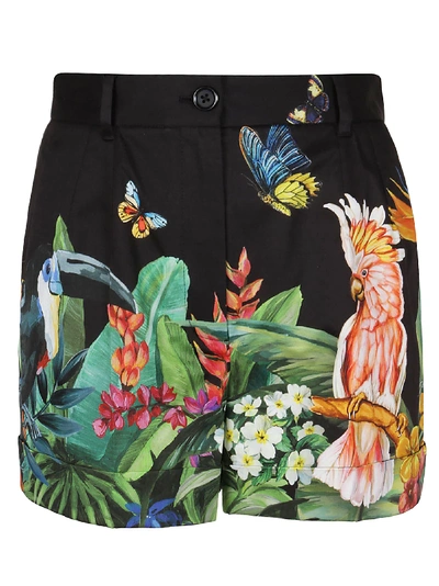 Shop Dolce & Gabbana Jungle Printed Shorts