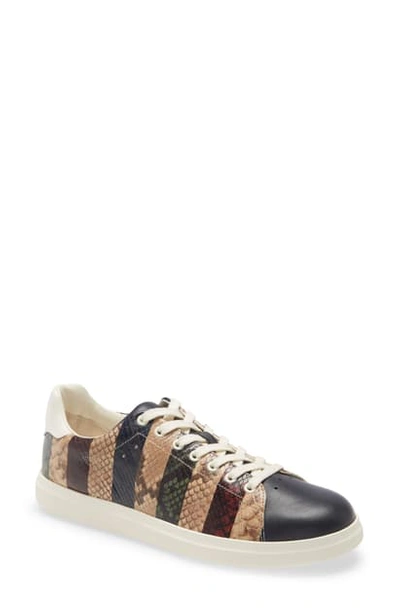 Tory Burch Women's Howell Stripe Snakeskin-embossed Leather Sneakers In New  Navy Multi | ModeSens