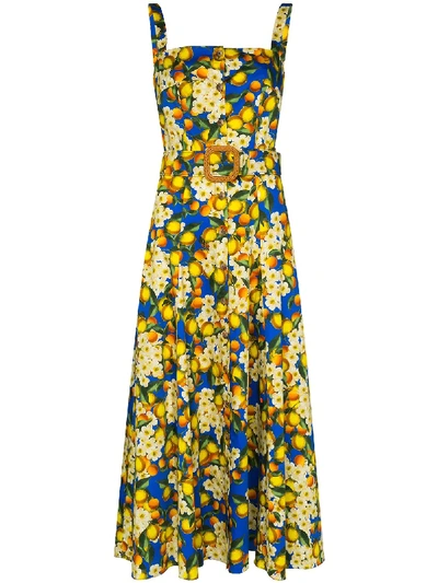 Shop Borgo De Nor Camilla Belted Lemon-print Dress In Blue