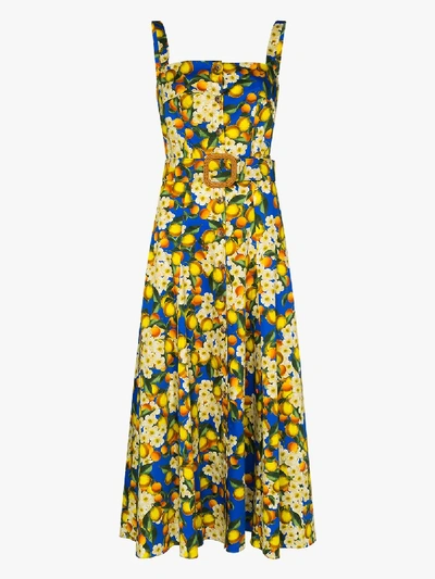 Shop Borgo De Nor Camilla Lemon Print Belted Dress In Blue