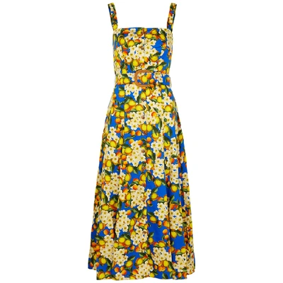 Shop Borgo De Nor Camilla Floral-print Cotton Midi Dress In Blue