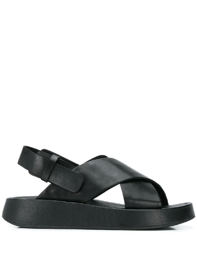 Shop Ash Verdi Flat Sandals In Black