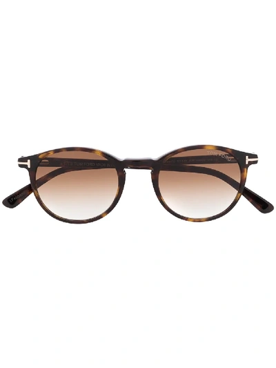 Shop Tom Ford Palmer Sunglasses In Brown
