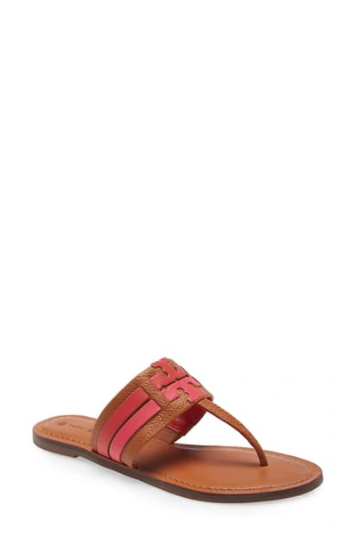 Shop Tory Burch Leigh Flip Flop In Ambra/ Carnelian/ Azalea